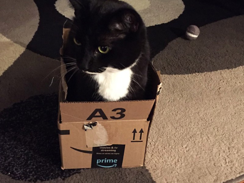 Battle of the&nbsp;Box