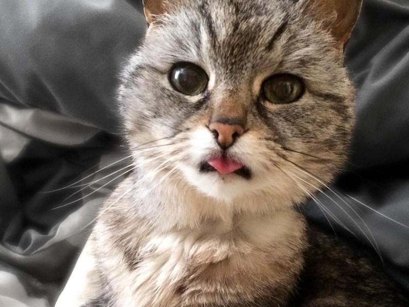 I Knead on Your&nbsp;Organs