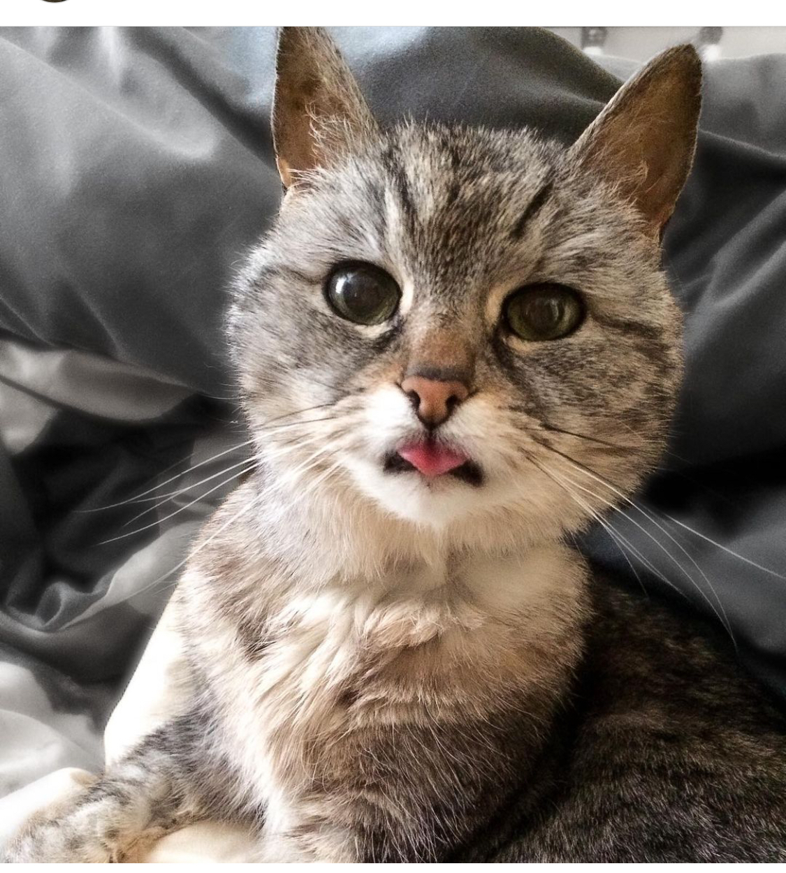 I Knead on Your&nbsp;Organs